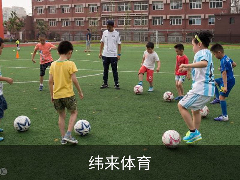 纬来体育概况